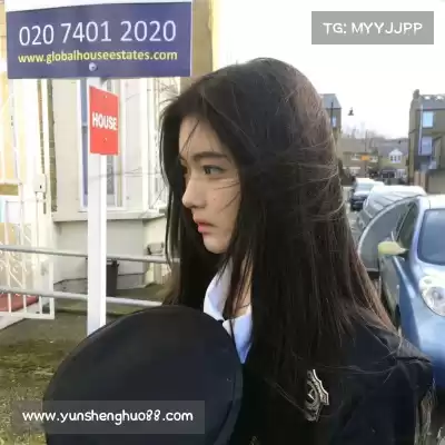 明贞梦